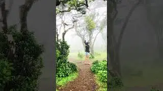 #shortvideo #Chariot Path #view #srilanka #explore #travelvlog #travelgirl #trending