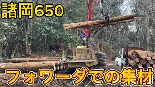 【フォワーダ 集材】 山から土場までの出し風景‼️諸岡650