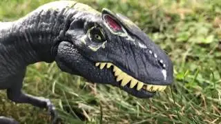 Allosaurus Vs Ceratosaurus