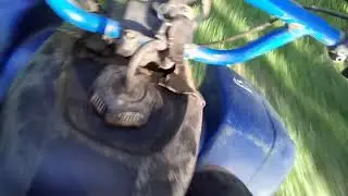 Racing friends is just like old times