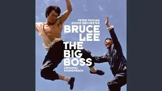 Big Boss and His Gang (FilmVersion)