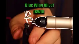 Blue Wing Olive[BWO]- Beginner's Fly Tying!