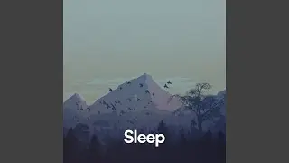 Body Healing Sleep & Relax Frequency (Binaural Beats)