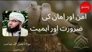 Aman ao da Amaan  Zaroorat ao Ahmiyat in pushto | Paigham-e-Hidayah