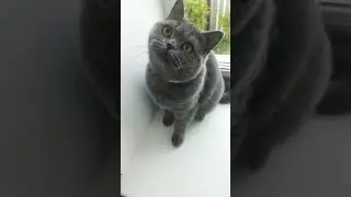 как тяжело 🙂