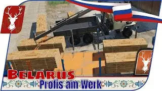 Belarus #68 - Verladetechnik! Was ist die beste Technik im LS19?  // LS19 Projekt Russland