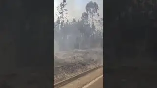 Incêndios florestais 2023 - 👉KILL EM ALL 👈                 (🎵Ex-Votos - Canto aos peixes)