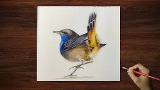 Feathers & Flow | Watercolor Bird Painting Step by Step