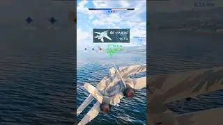 $80 IRANIAN F-14A in War Thunder 🤑💀 #warthunder #gaming