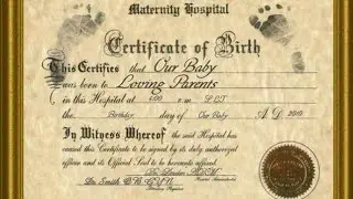 The Creation of The Birth Certificate | Follow The Agencies #birthcertificate #dtc #youtubeeducation