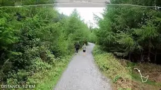 Kilmashogue Forest - Fairy Castle Trail Run
