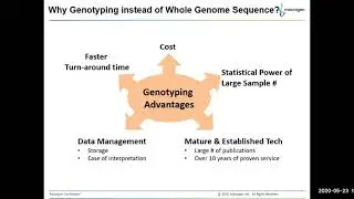 Microarray based SNP genotyping