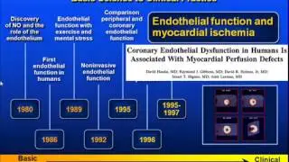 Endothelial Function from Bench to Clinical Practice