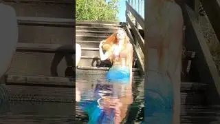Ginnie Springs Mermaids! #clozee #mermaid #mermaidtail #mernation  #florida #gopro #shorts