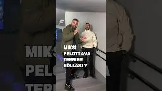 Tekik&ouml; pelottava terrier oikein ?