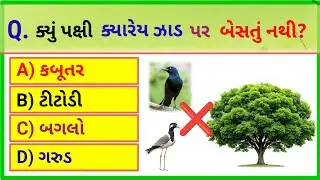 🐔This Bird Never Sits on Trees!😈 l 99% લોકોને ખબર નથી 😮 | ક્યું પક્ષી ઝાડ પર નથી બેસતું?#gujjuboy 