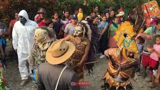 Puro ambiente Huasteco: La Banda no para de tocar 👺