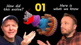 How did bacterial flagella evolve? 01: Here's what we know