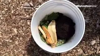 Composting benefits. #ourgarden
