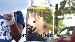 Blueberry Lemon Mint Water Recipe