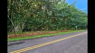 PUNA PKWY | Pahoa Real Estate