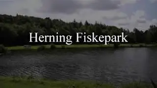 St&oslash;r fiskeri i Herning