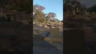 #cemetery #cemeteryexploration #cemeterylovers #cemeterywandering #graves #graveyard #grave #mystery