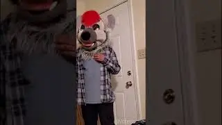 Furry Roommates