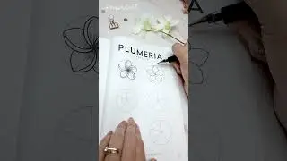 How 2 draw a PLUMERIA