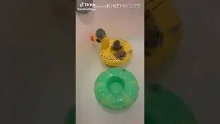 snail and frog tik toks that make me happy