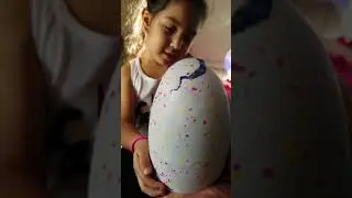 Hatching Hatchimals part 2