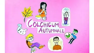 Colchicum Autumnale🍁 | Part 1 | From Dr. N. M. Choudhuri's Materia Medica