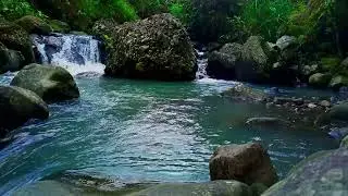 Water River Soundscape - The Harmony of River Serene for Deep Sleep | River Relaxation ASMR