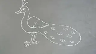How to draw peacock drawing easy step by step // chalk drawing