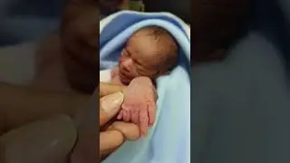 monkey baby
