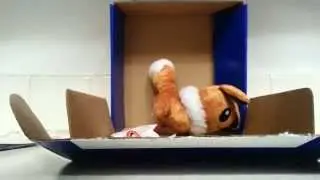 Pok&eacute;mon PokeCrate Opening