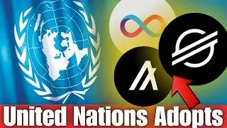 United Nation Has Chosen To Work With Stellar Lumens XLM, Internet Computer ICP And Algorand Algo!