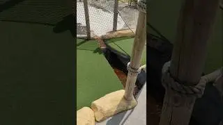 Dino Golf 🦖⛳: 