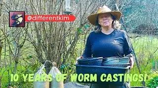 Harvesting the Old Worm Box One Last Time ~ Lessons Learned & WHAT'S NEXT!