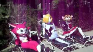 Furry Fiesta Pool