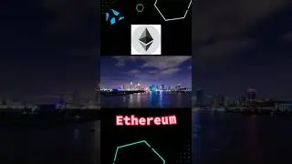 The Best Altcoins for Bull Run 2026!