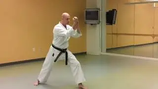 Wansu Kata - Slow Speed