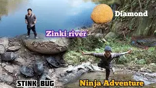  Catching stink bug at zinki river with my Ninja boy#viralvideos 