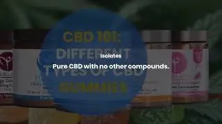 CBD 101 Different Types of CBD Gummies