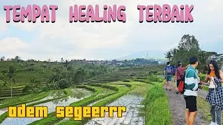 HEALING WITH VIEW AND FRESH VIBE ❗WALKING AROUND TERASIRING JATILUWIH TABANAN BALI