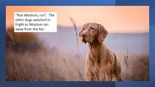 Story Time for Dog Lovers - Woolum and the Fox.  Stories for all ages.  Read, relax and enjoy.