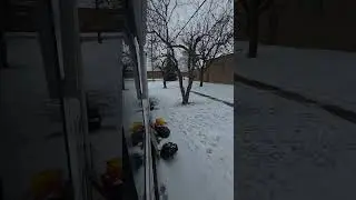 Winter Storms For Our Ontario Nomadic Family
