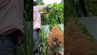 Another Day, Another Loki #gardeningideas#organicgardening#gardening#homegardening#organic#garde