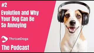 Small Dogs Small Bytes Podcast #2 Evolution and Why Your Dog Can Be So Annoying!