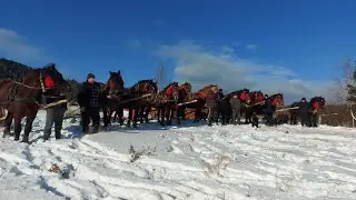 🥁📢Запрошення в Космач на з'їзд коней і бутинарів🪓 відбудеться 1.02.2026р.🏔💣💪👍🛷